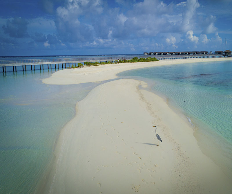 Puente en The Residence at Dhigurah, Maldivas