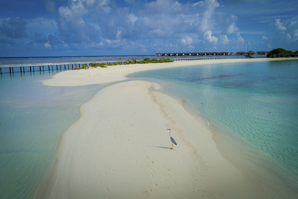Puente en The Residence at Dhigurah, Maldivas