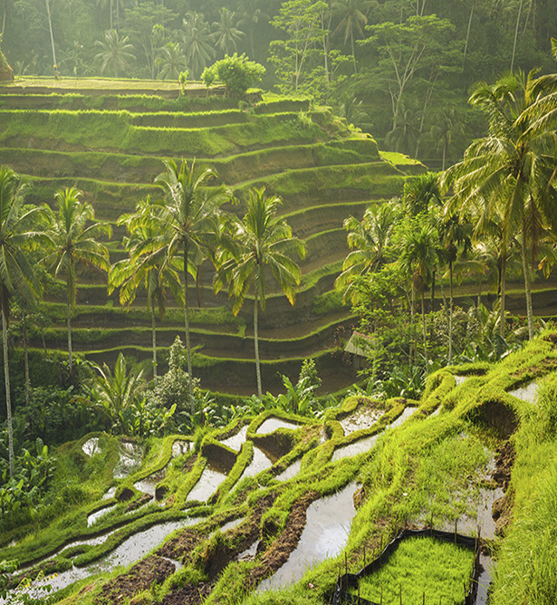 Volcán Batur en Bali
