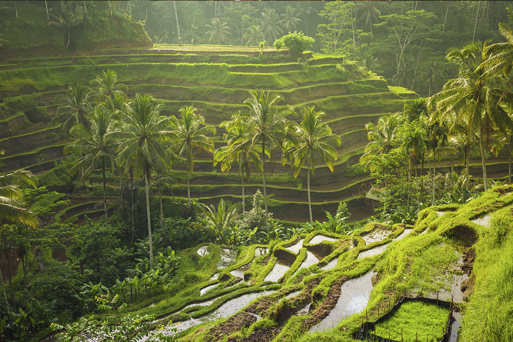 Volcán Batur en Bali